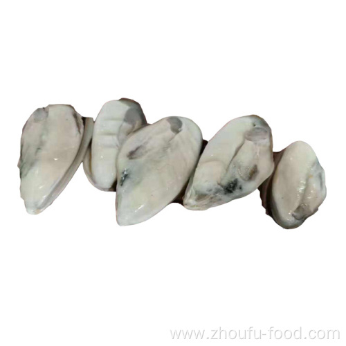 Frozen Blue Mussel Meat Without Shell